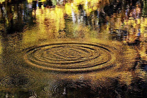 Ripples Art Print featuring the photograph Reflective Ripple by Catherine Melvin