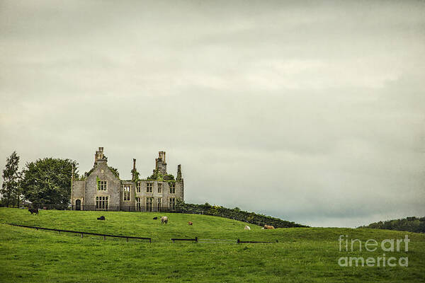 Ireland Art Print featuring the photograph Reign Over Me by Evelina Kremsdorf