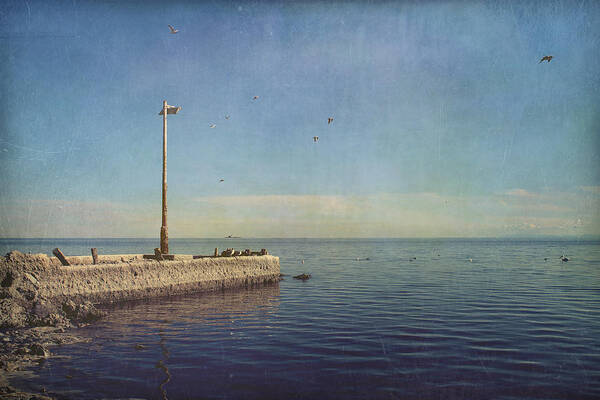 Salton Sea Art Print featuring the photograph Reminders by Laurie Search