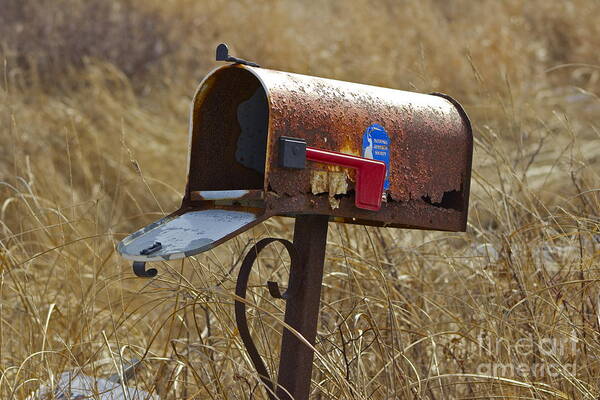 Mailbox Art Print featuring the photograph Return to Sender by Alice Mainville