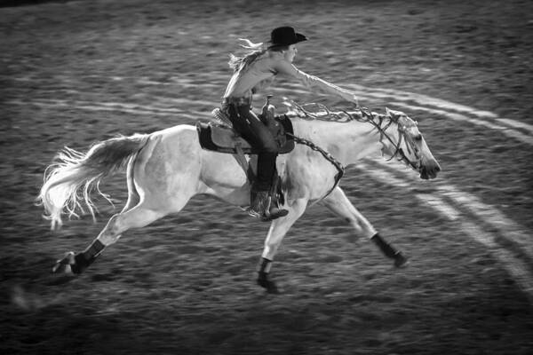 Barrel Racing Art Print featuring the photograph Ride Like the Wind by Caitlyn Grasso