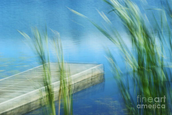 Impressionist Photography Art Print featuring the photograph Right here Right Now by Aimelle Ml