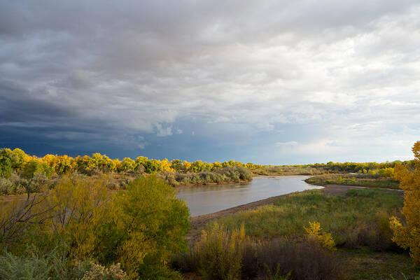 Bosque Art Print featuring the photograph Rio Grande in New Mexico by Mary Lee Dereske