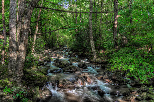 Rivers Art Print featuring the photograph Jones Gap State Park South Carolina by Harry B Brown