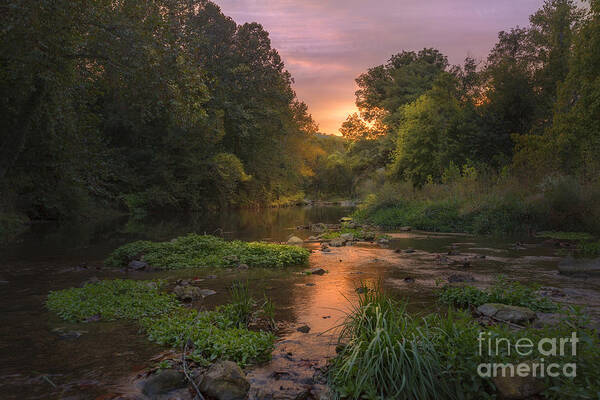 Roaring River Art Print featuring the photograph Roaring River State Park by Tim Wemple