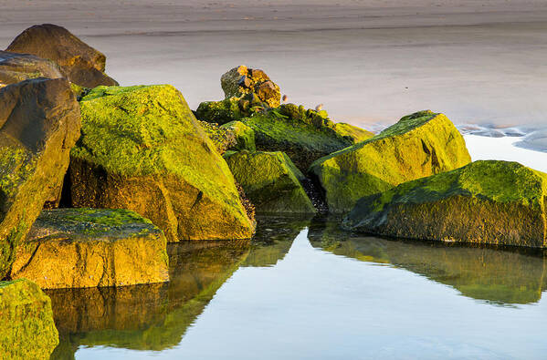 Seascape Art Print featuring the photograph Rocks by Charles Aitken