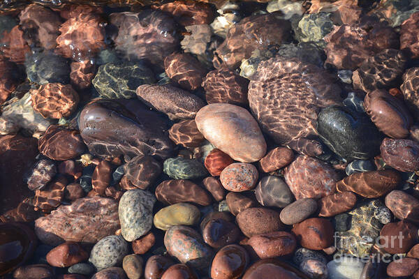 Rocks Art Print featuring the photograph Rocks on the Beach by Forest Floor Photography