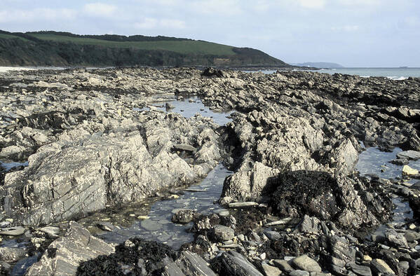 Coastline Art Print featuring the photograph Rocky Shore, Cornwall by Carleton Ray