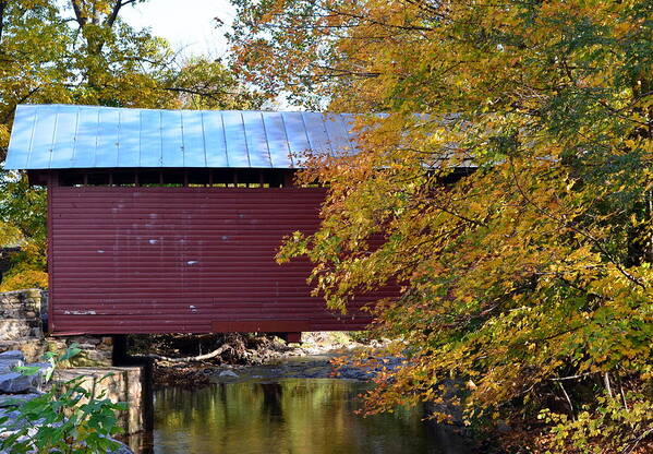 Roddy Road Covered Bridge Art Print featuring the photograph Roddy Road Covered Bridge by Cathy Shiflett