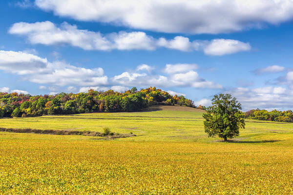 Autumn Art Print featuring the photograph Rolling Fields Of Color by Bill and Linda Tiepelman