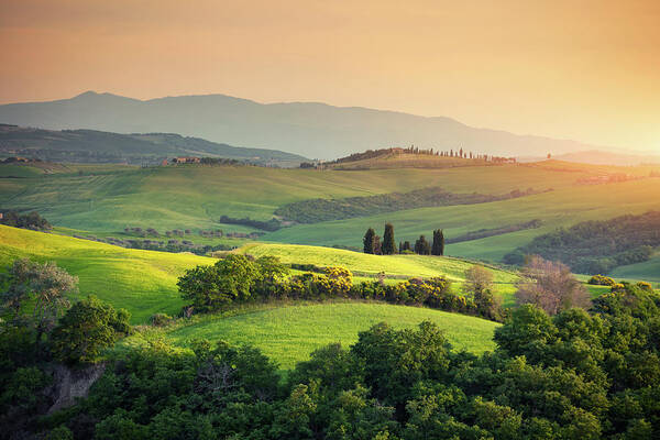 Scenics Art Print featuring the photograph Rolling Tuscany Landscape by Borchee