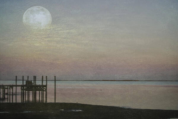Moon Art Print featuring the photograph Romancing the Moon by Judy Hall-Folde