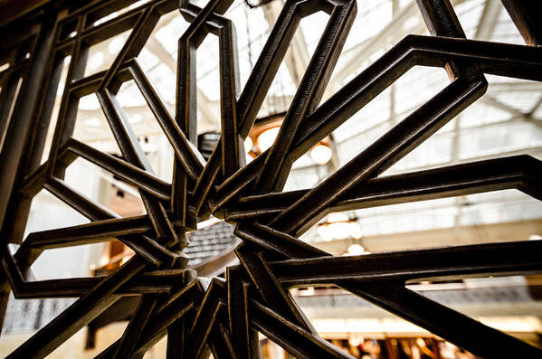 Chicago Art Print featuring the photograph Rookery Building Iron Design by Anthony Doudt