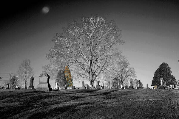 Moon Art Print featuring the photograph Roseville Cemetary by David Yocum