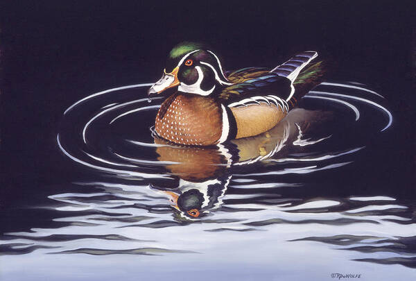 Duck Art Print featuring the painting Royal Reflections by Richard De Wolfe