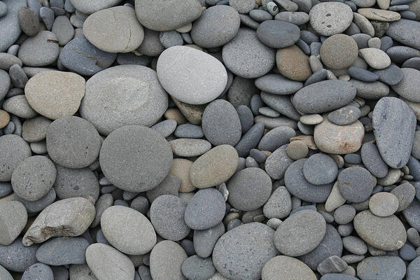 Olympic National Park Art Print featuring the photograph Ruby Beach Pebbles by Paul Schultz