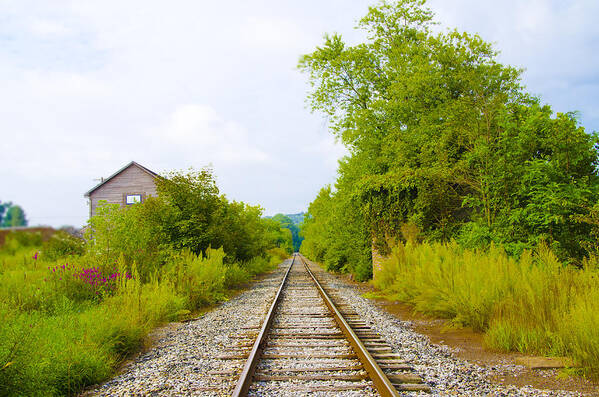 Rural Art Print featuring the photograph Rural Pa Train Tracks by Bill Cannon