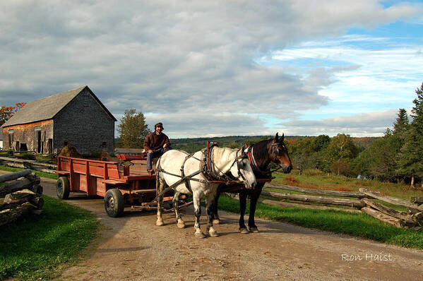 Horses Art Print featuring the photograph Rush Hour by Ron Haist