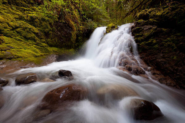 Waterfall Art Print featuring the photograph Rushing Cascades by Andrew Kumler