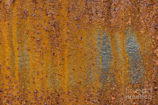 Rust Art Print featuring the photograph Rust by John Shaw