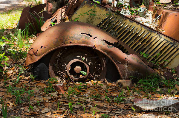 Rusted Art Print featuring the photograph Rusted by Louise Heusinkveld