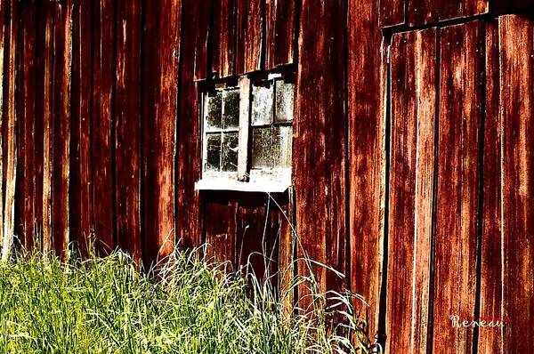 Barn Art Print featuring the photograph Rustic Barn Window by A L Sadie Reneau