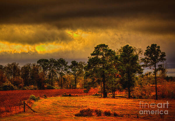 Art Prints Art Print featuring the photograph Rustic Pasture by Dave Bosse