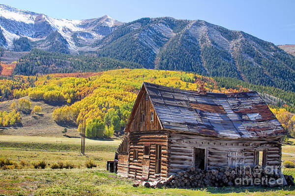 Aspens Art Print featuring the photograph Rustic Rural Colorado Cabin Autumn Landscape by James BO Insogna
