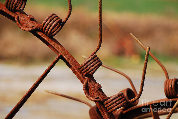 Rust Art Print featuring the photograph Rusty Tines by Mary Carol Story