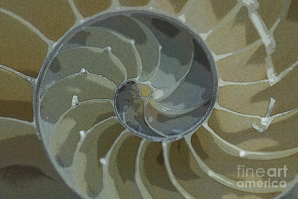 Sacred Spiral Art Print featuring the photograph Sacred Spiral 6 by Jeanette French