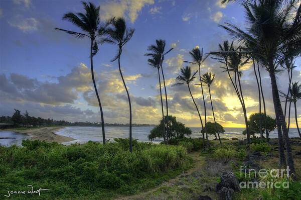 Kauai Art Print featuring the photograph Sacred Sunrise Grounds Kauai by Joanne West