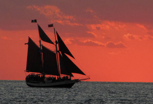 Sunset Art Print featuring the photograph Key West Sunset Sail 5 by Bob Slitzan