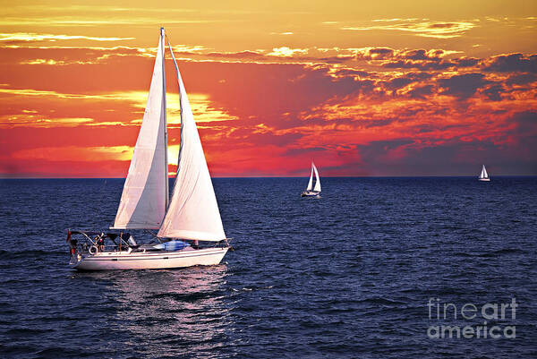 Boat Art Print featuring the photograph Sailboats at sunset by Elena Elisseeva