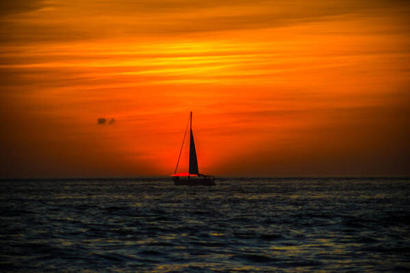 Sunset Art Print featuring the photograph Sailing in the Sunset by George Kenhan
