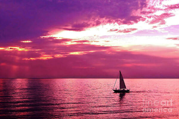 Sunset Art Print featuring the photograph Sailing Into The Setting Sun by Kathi Mirto