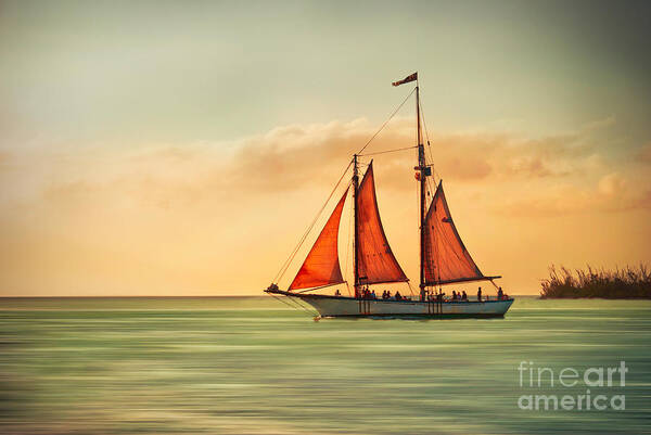 Sailing Art Print featuring the photograph Sailing Into The Sun by Hannes Cmarits