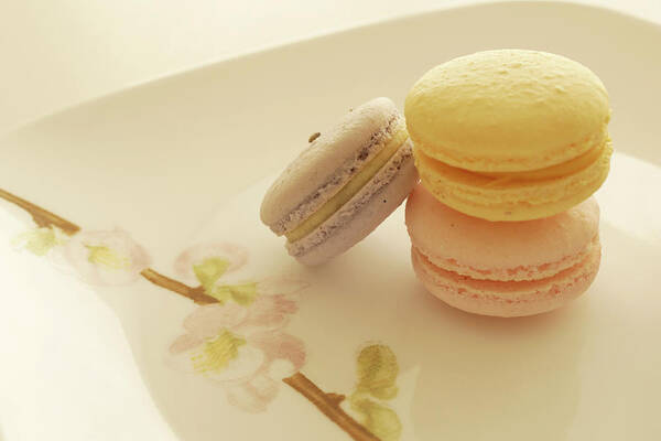 Fragility Art Print featuring the photograph Sakura Macarons by Annhfhung