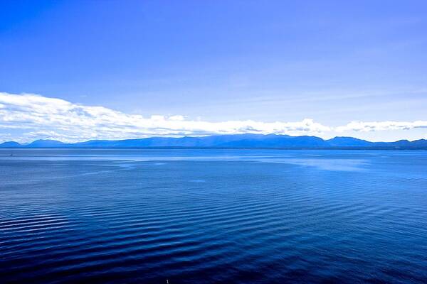  Art Print featuring the photograph Salish Sea by Brian Sereda