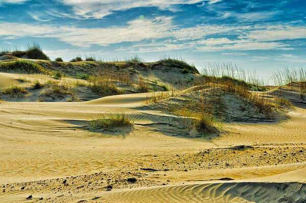 Hatteras Art Print featuring the photograph Sand Dunes by Louis Dallara