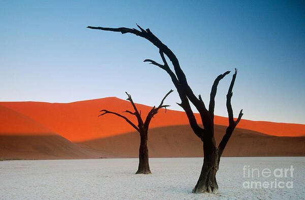 Landscape Art Print featuring the photograph Sand Dunes, Namibia by Art Wolfe