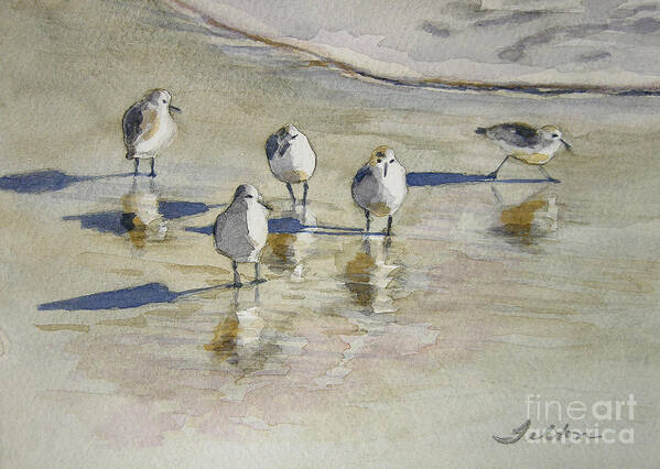 Bird Watercolor Paintings Art Print featuring the painting Sandpipers 2 watercolor 5-13-12 julianne felton by Julianne Felton