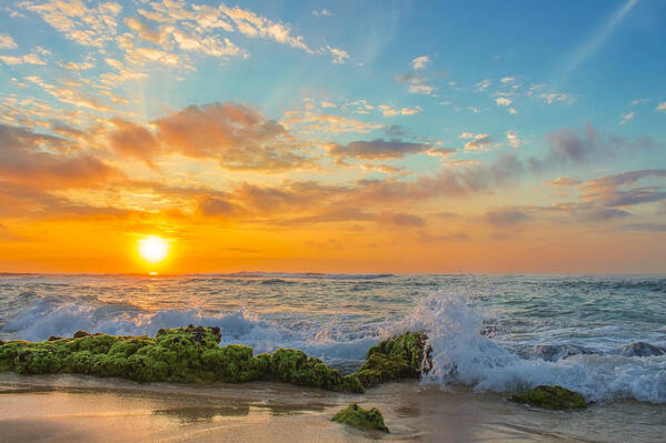 Beach Art Print featuring the photograph Sandy Beach Sunrise 3 by Leigh Anne Meeks