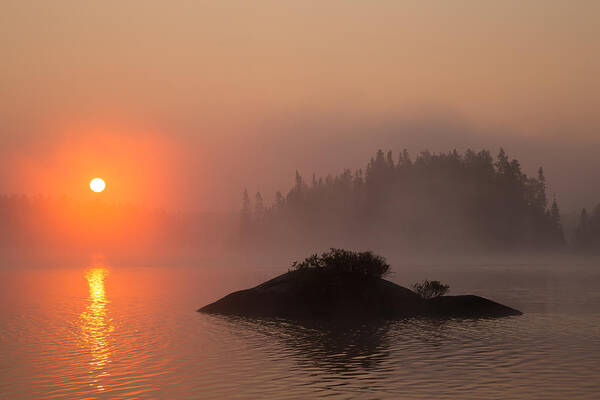 Photos Of Sunrise Art Print featuring the photograph Sawbill Surprise by Paul Schultz