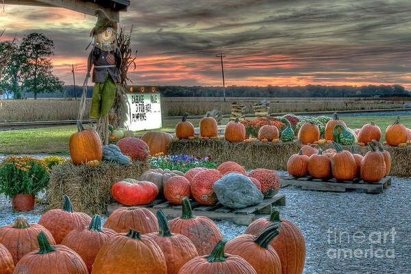 Halloween Art Print featuring the photograph Scarecrow Standing Guard by Gene Bleile Photography 