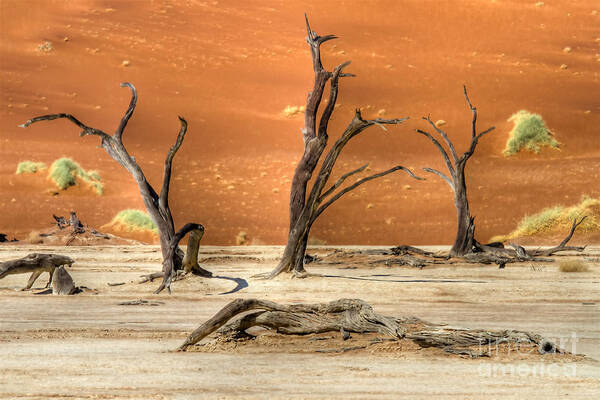 Sossusvlei Art Print featuring the photograph Scenic View at Sossusvlei by Juergen Klust