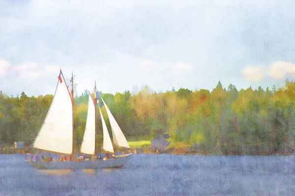 Schooner Art Print featuring the photograph Schooner Castine Harbor Maine by Carol Leigh