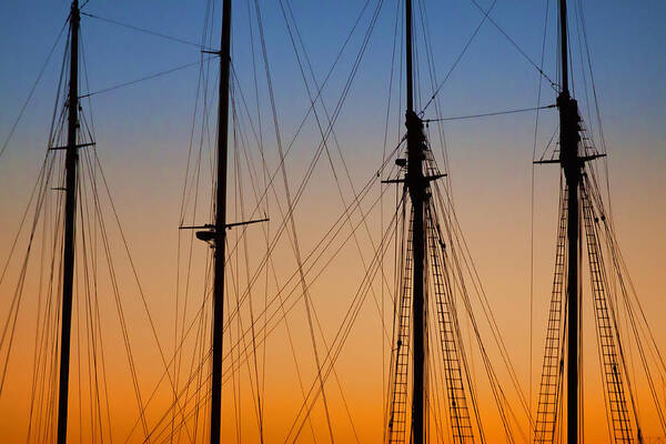 Martha's Vineyard Art Print featuring the photograph Schooner Masts Martha's Vineyard by Carol Leigh