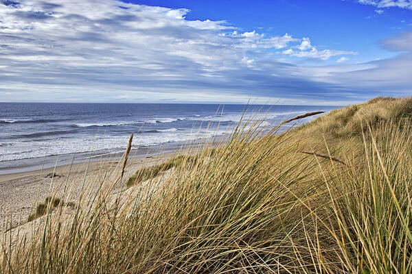 Sea Art Print featuring the photograph Sea Grass and Sand Dunes by Paul Riedinger