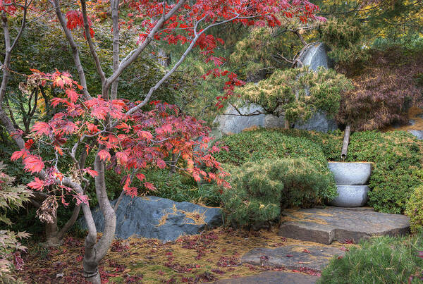 Nature Art Print featuring the photograph Secret Garden by Darlene Bushue