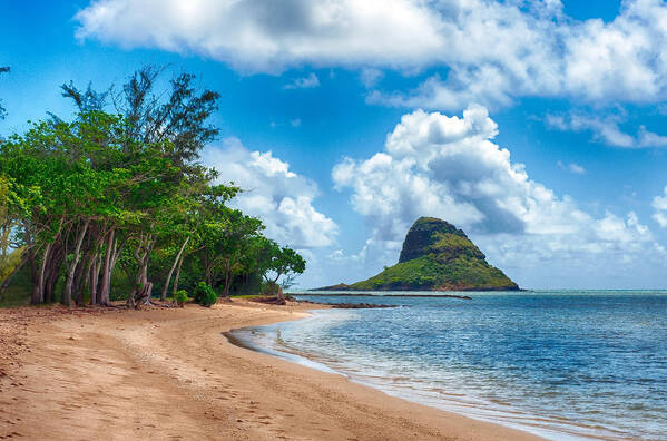 Hawaii Art Print featuring the photograph Secret Island Beach and Chinaman's Hat by Dan McManus